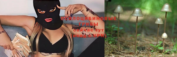 PSILOCYBIN Абдулино