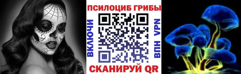 купить  сайты  площадка состав  Галлюциногенные грибы Psilocybine cubensis  Куровское  KRAKEN ССЫЛКА 