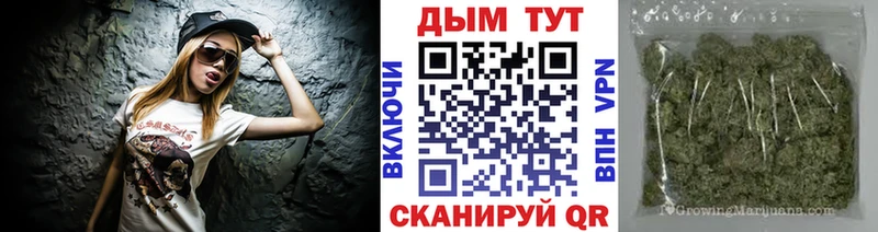 купить наркотики сайты  Куровское  Бошки марихуана гибрид 